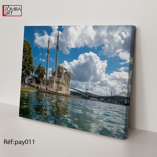 Tableau PAY011