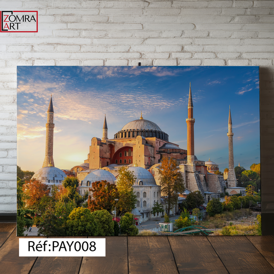 Tableau Pay008