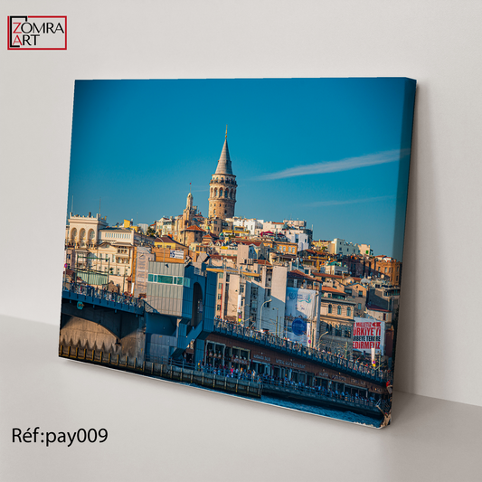 Tableau Pay 009